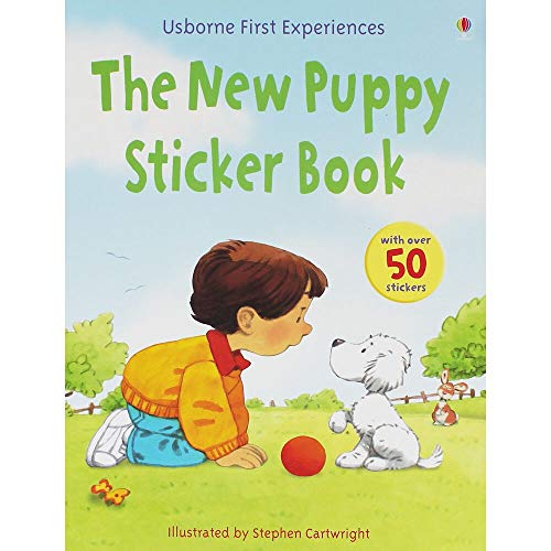 9781409502524: New Puppy Sticker Book (First Experiences Sticker Book)