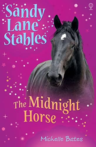 9781409505167: The Midnight Horse (Sandy Lane Stables)
