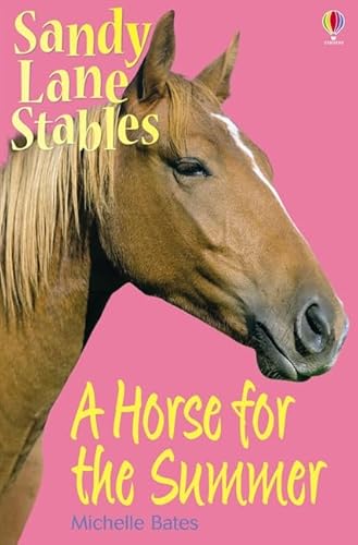 9781409505235: A Horse for the Summer (Sandy Lane Stables)