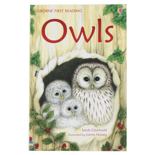 9781409505792: Owls (First Reading Level 4)