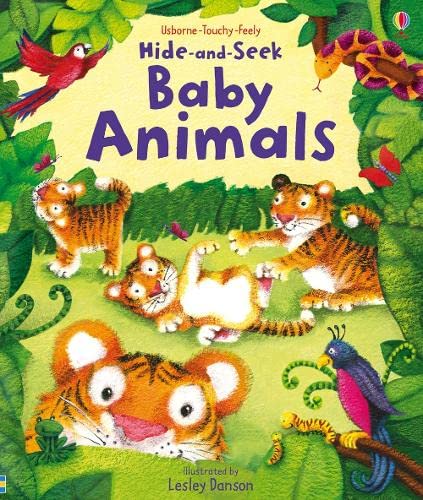 9781409505907: Baby Animals (Hide-and-Seek)