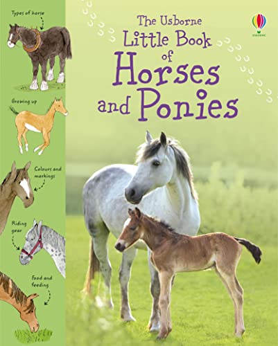 Beispielbild fr The Usborne Little Book of Horses and Ponies zum Verkauf von ThriftBooks-Atlanta