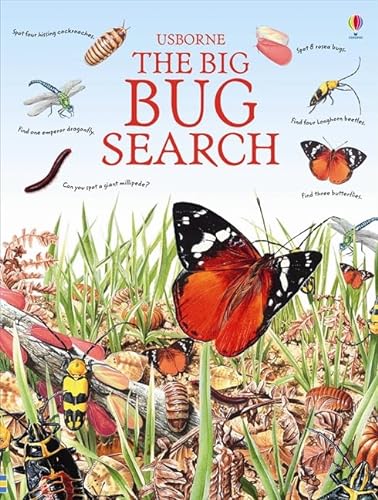 9781409509172: The Big Bug Search (Great Searches)