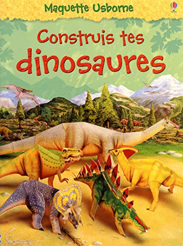 Construis tes dinosaures - nouvelle couverture (Maquette Usborne) (French Edition) (9781409513841) by Ashman, Iain