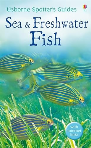 Beispielbild fr Sea and Freshwater Fish (Usborne Spotter's Guide) (Spotter's Guides) zum Verkauf von WorldofBooks