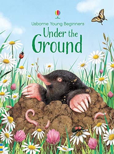 Stock image for Under the Ground (First Reading) (2.1 First Reading Level One (Yellow)) for sale by AwesomeBooks