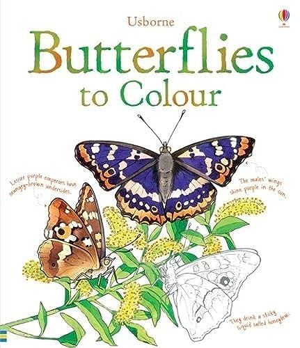 Beispielbild fr Butterflies to Colour (Colouring Books) zum Verkauf von WorldofBooks