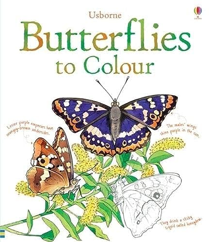 Stock image for Butterflies to Colour (Nature Colouring Books) for sale by AwesomeBooks