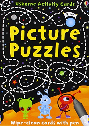 9781409524267: Picture Puzzles