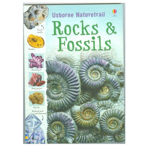 9781409527695: Rocks and Fossils: 1 (Naturetrail)