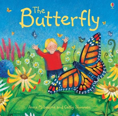 9781409527718: Butterfly (Picture Books)