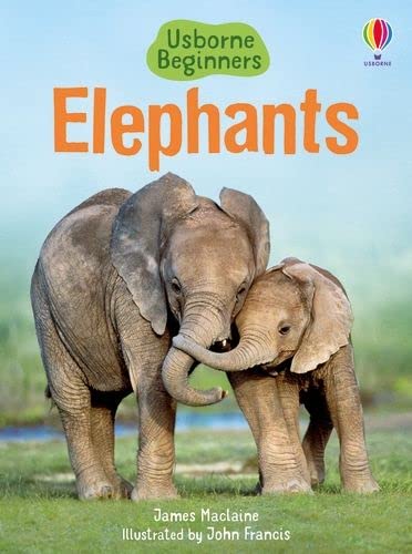 9781409530497: Elephants (Beginners)