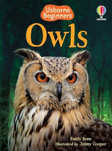 Beispielbild fr Owls (Usborne Beginners) zum Verkauf von WorldofBooks