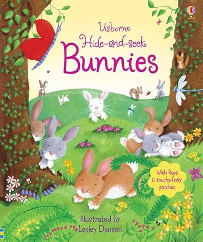 9781409531067: Hide and Seek Bunnies (Hide & Seek)