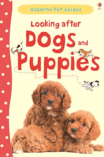 Looking After Dogs & Puppies (9781409532408) by Katherine Starke