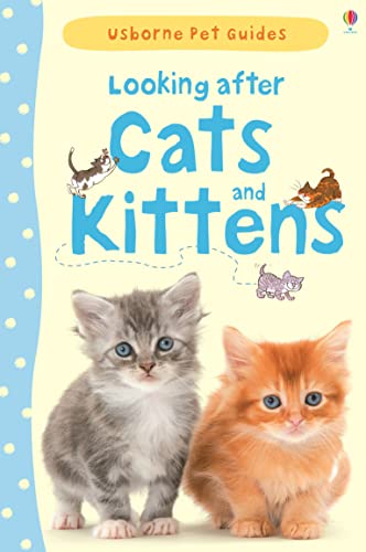 9781409532422: LOOKING AFTER CATS AND KITTENS (Pet Guides)