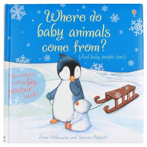 Imagen de archivo de Where Do Babies Come From? (Picture Poster Books) a la venta por AwesomeBooks