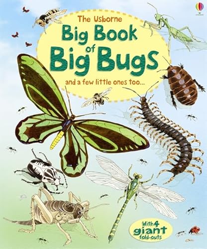 Beispielbild fr Big Book of Big Bugs (Usborne Big Book of Big Things) (Big Books of Big Things) zum Verkauf von AwesomeBooks