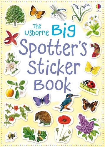 Beispielbild fr Big Spotter's Sticker Book (Usborne Spotter's Guides) (Spotter's Sticker Books) zum Verkauf von AwesomeBooks