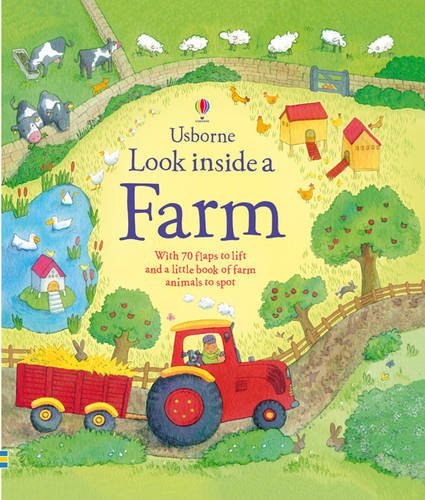 Look Inside a Farm (9781409538868) by Katie Daynes