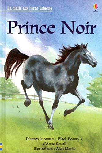 9781409540113: Prince noir