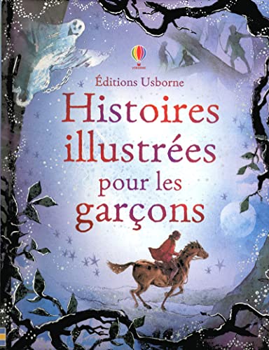Stock image for Histoires illustres pour les garons for sale by medimops