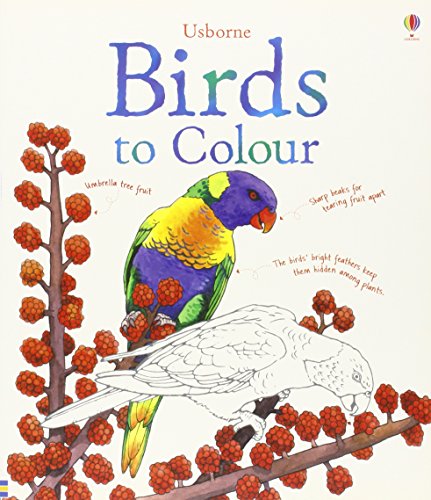 Beispielbild fr Birds to Colour (Nature Colouring Books) zum Verkauf von WorldofBooks