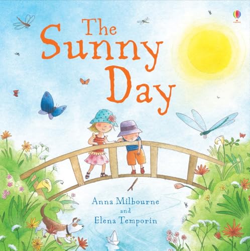 9781409544838: Sunny Day (Picture Books)