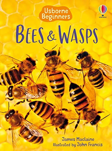 Imagen de archivo de Bees Wasps (Usborne Beginners) (Beginners Series) a la venta por Goodwill Books