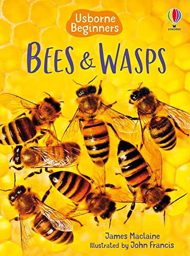 Stock image for Bees and Wasps (Usborne Beginners) for sale by Reuseabook