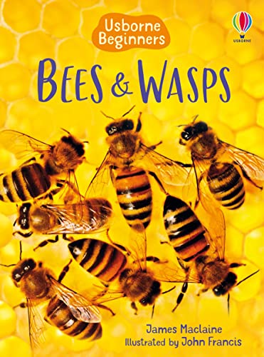 9781409544876: Bees & Wasps (Usborne Beginners) (Beginners Series)