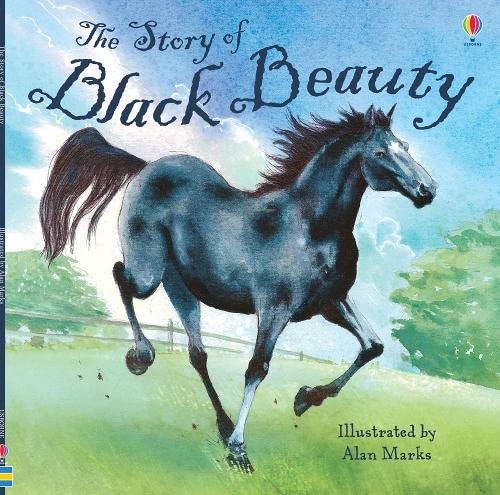 9781409555933: Story of Black Beauty