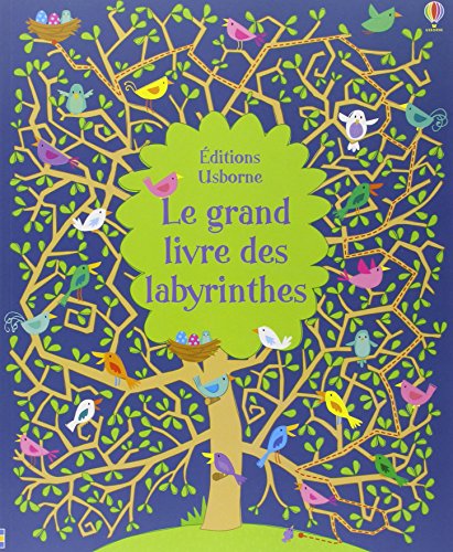 9781409560111: Le grand livre des labyrinthes