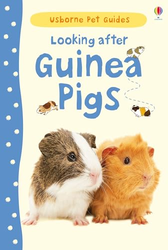 Beispielbild fr Looking After Guinea Pigs (Usborne Pet Guides) zum Verkauf von WorldofBooks