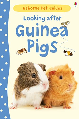 Looking After Guinea Pigs (Usborne Pet Guides) (9781409561880) by Laura Howell