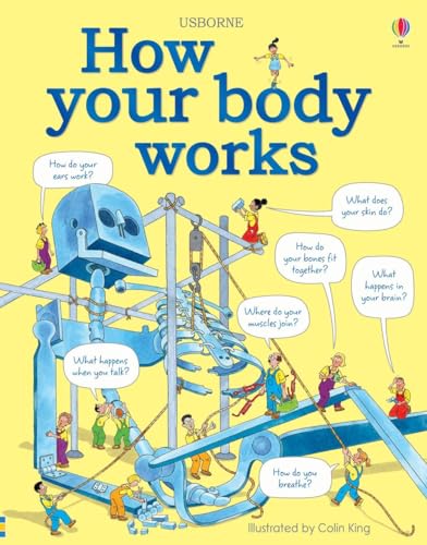 9781409562900: How Your Body Works: 1 (Children's World)