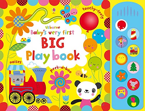 9781409565109: Babys Very First Big Play Book