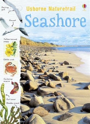 Stock image for Seashore (Naturetrail) for sale by WorldofBooks