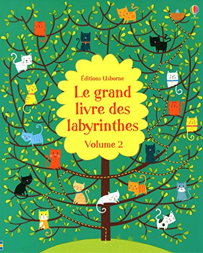 9781409576631: Le grand livre des labyrinthes: Volume 2