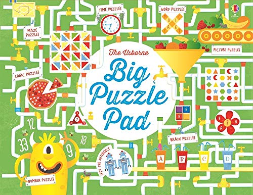 9781409581376: Big Puzzle Pad