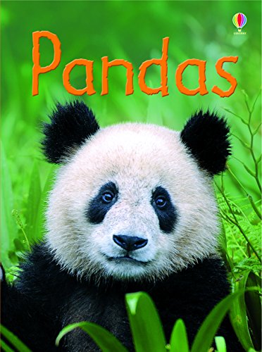 Imagen de archivo de Pandas (Beginners Series) a la venta por Zoom Books Company