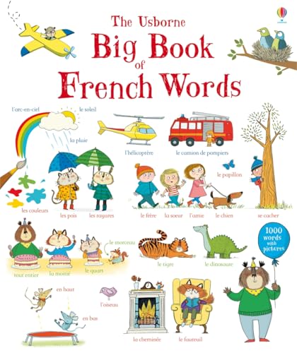 Stock image for Big Book of French Words (Big Book of Words) for sale by WorldofBooks