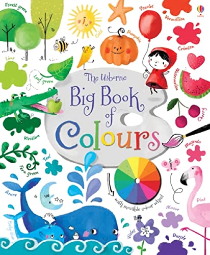 9781409582472: Big book of colours. Ediz. illustrata
