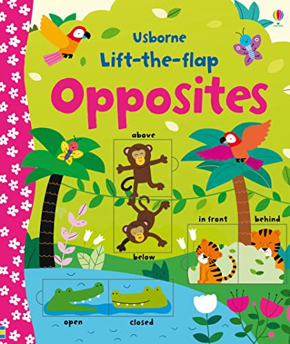 Beispielbild fr Lift-the-Flap Opposites: 1 (Young Lift-the-flap) zum Verkauf von WorldofBooks