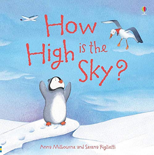 Imagen de archivo de How High is the Sky? (Picture Poster Books) a la venta por AwesomeBooks