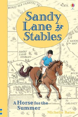 9781409590620: Sandy Lane Stables A Horse for the Summer (Young Reading Series 4)