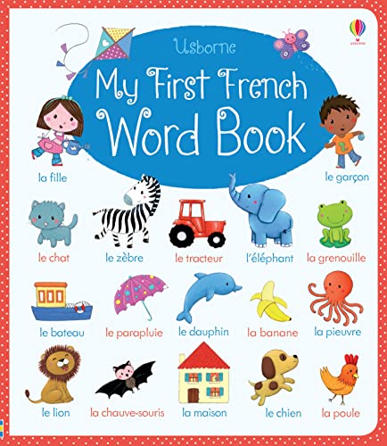 Imagen de archivo de My First French Word Book (My First Word Book): 1 a la venta por AwesomeBooks