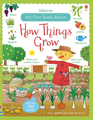 Beispielbild fr My First Book About How Things Grow (My First Books) (All About) zum Verkauf von WorldofBooks