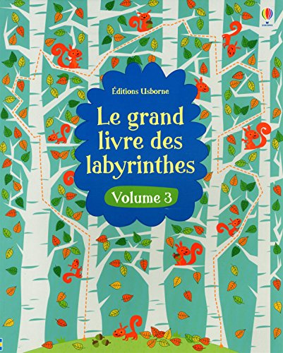 9781409595694: Le grand livre des labyrinthes: Volume 3