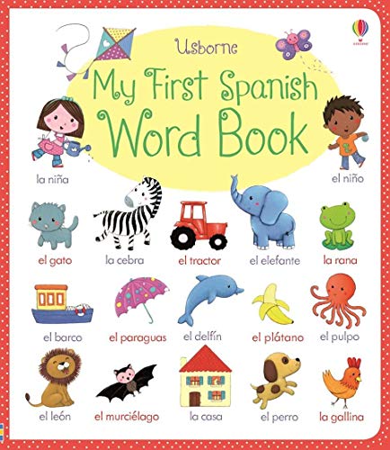 9781409597636: My First Spanish Word Book (My First Word Book): 1